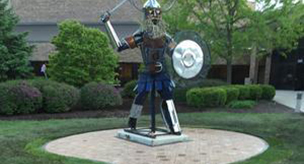 viking plaza